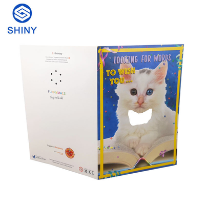 Thiệp chúc mừng sinh nhật có thể ghi âm tùy chỉnh với âm thanh